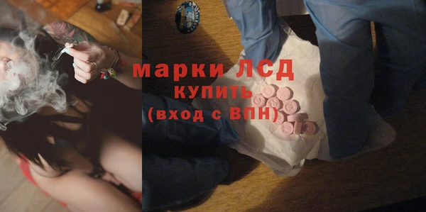 PSILOCYBIN Беломорск