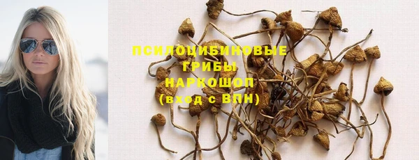 сатива Белоозёрский
