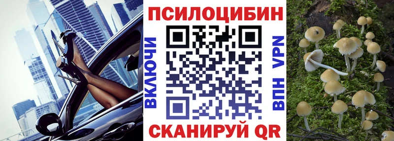 Псилоцибиновые грибы GOLDEN TEACHER  купить наркоту  Барабинск 